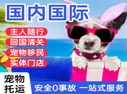 烟台空运公司国际宠物托运 【国